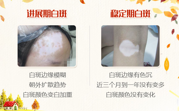 秋季文章图.jpg